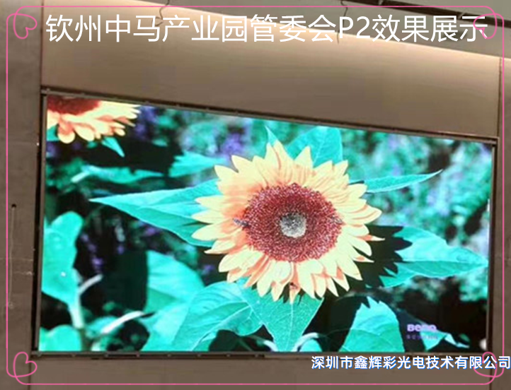1579231555585629.png 東莞某公司展廳_副本_副本.png